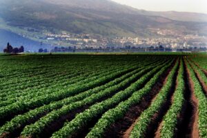 סוגי קרקעות בישראל להשקעה